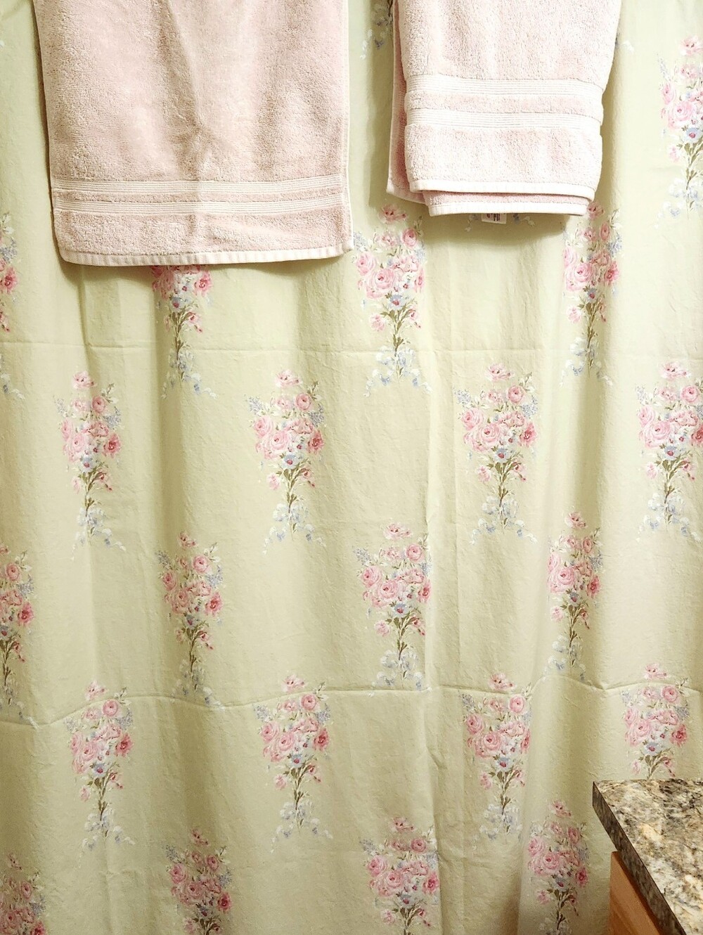 Rachell Ashwell Simply Shabby Chic Bramble Rose Shower Curtain & Towel Set